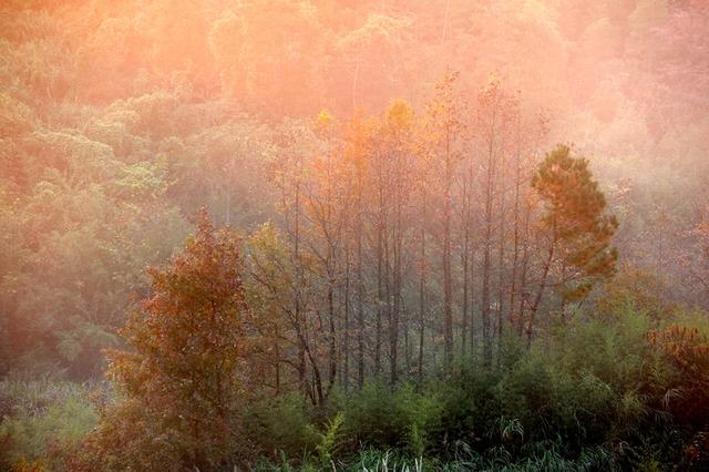 初冬时节 安徽黄山太平湖畔景美如画