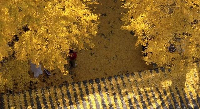 这是今晚的高淳水慢城！