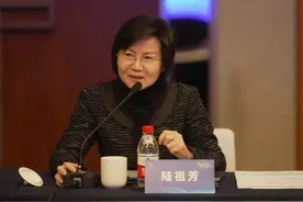区情｜开放“嘉”速度 共创新未来——全球战略伙伴齐聚嘉定共谋发展新路径图片