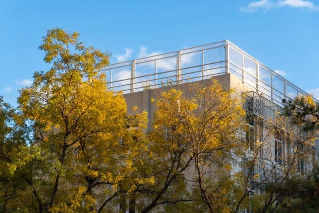 藏不住了！攒了整个秋天的北医美景，立冬前全部分享！