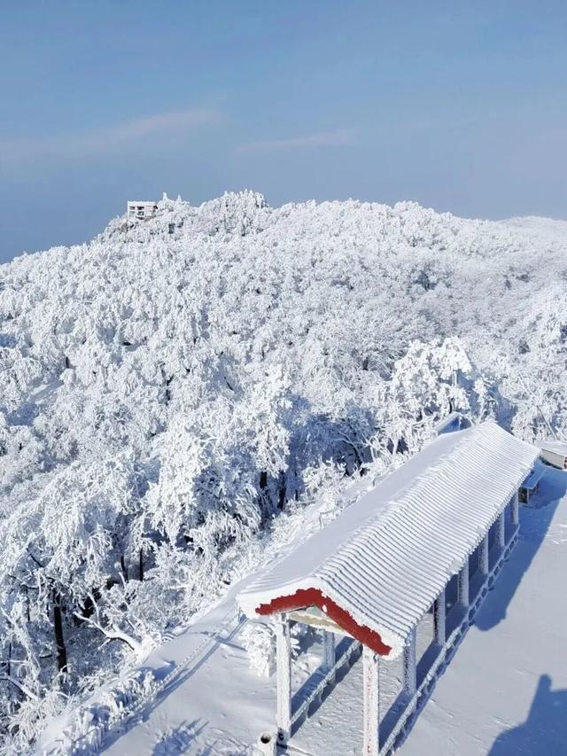年假清零，总要留几天给洛阳