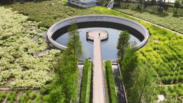 “春运都没这么多人”！深圳知名景区刷屏，网友纷纷“劝退”！