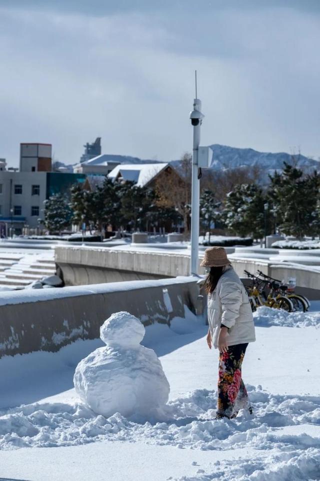 去什么北海道，冬日里的威海不是“平替”，是天花板！