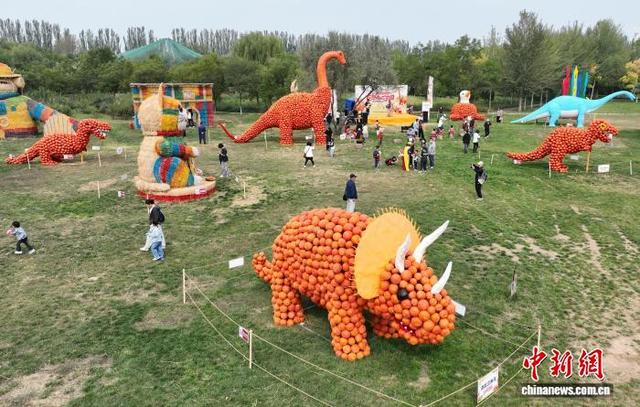 宁夏鸣翠湖巧打“南瓜牌”假期营造湿地新体验