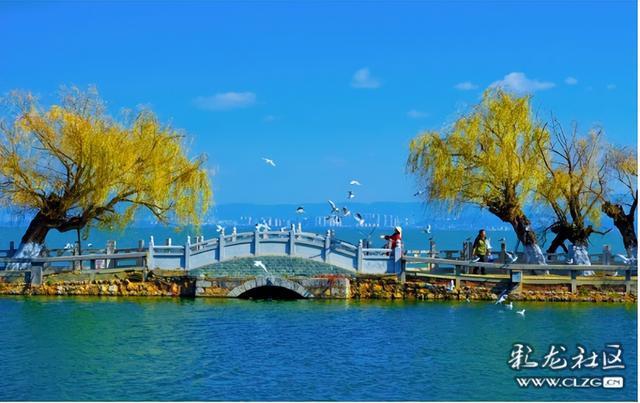昆明小众人少看滇池喂海鸥的宝藏打卡地