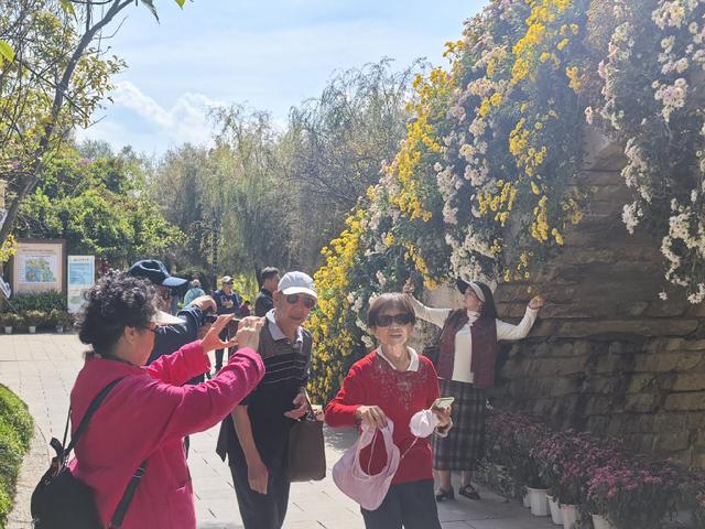 西山登高、大观赏菊  全龄乐享重阳