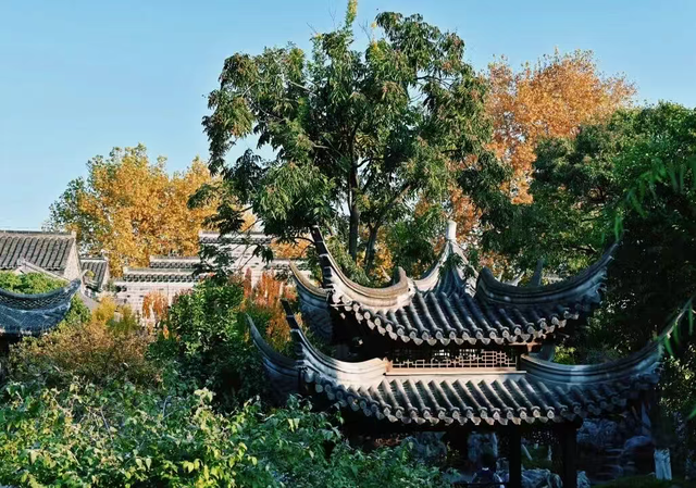 这个元旦假期，把时光“浪费”在秦淮最美的园子里~