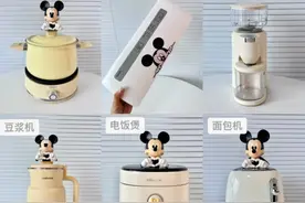 空气炸锅、随身榨汁机……那些中看不中用的“美丽废物”，花了你多少冤枉钱？图片