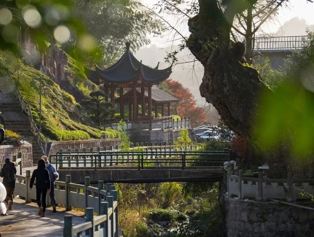 Hi走奉化③ | 拿下最高峰！蜘蛛岭古道虽累，但这秋色值了！