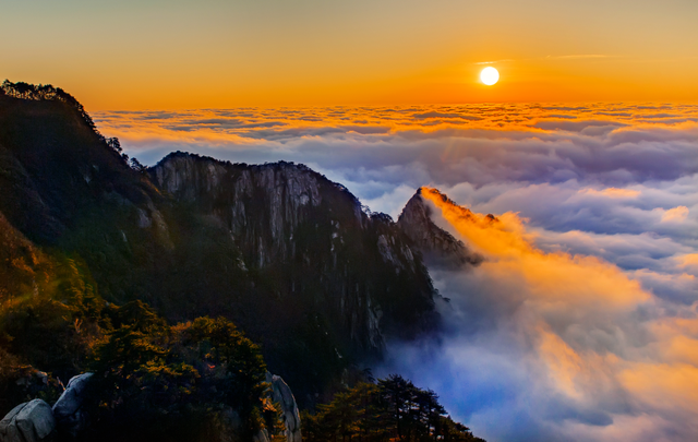 秋天来罗田,好“柿”正发生!