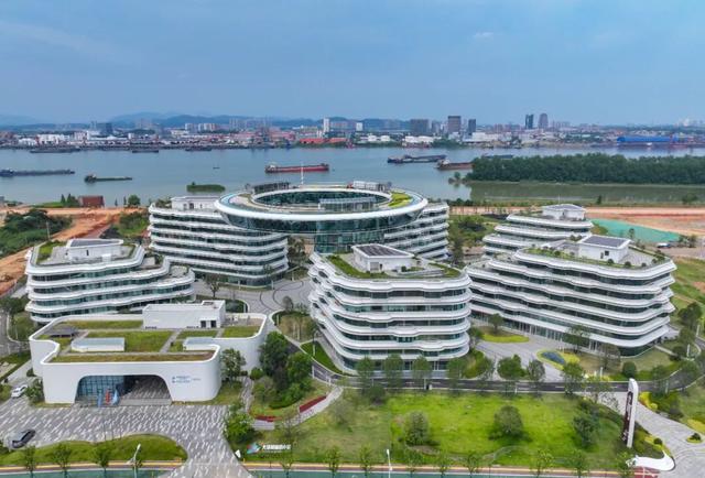 湘伴｜南非青年科学家“组团”来湖南，展开一场深度对话
