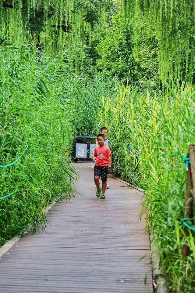 大美东城｜俯仰之间皆胜景 行停之处即桃源