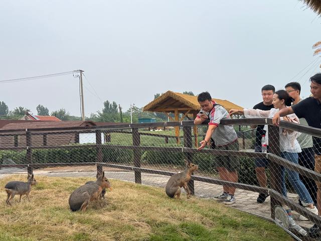 大V集结赋能文旅！聚流量之力，探山海之美