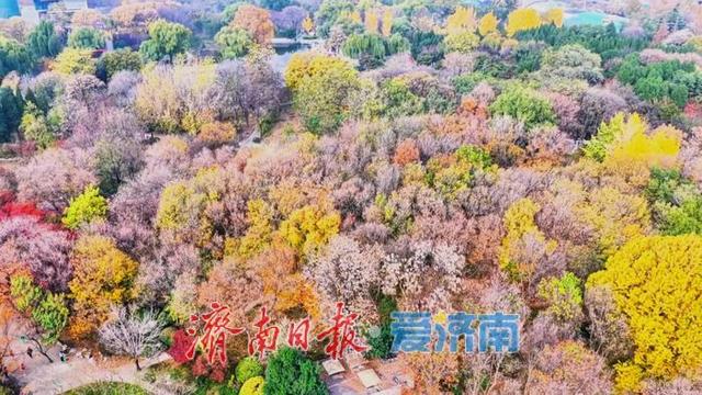 初冬，泉城公园开启“高饱和度”模式