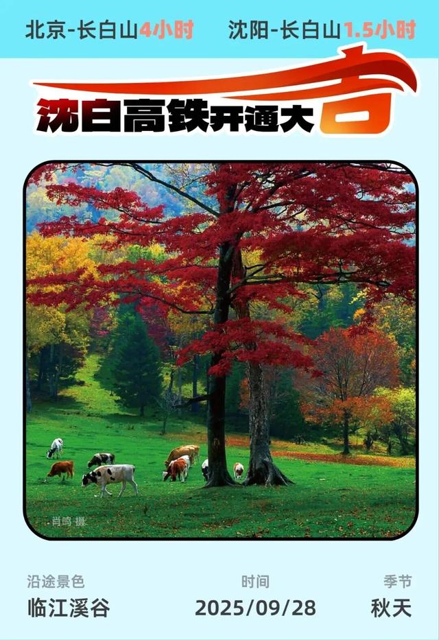推荐！沈白高铁“白山秋味”最美朋友圈文案请收藏！
