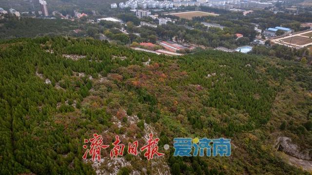 一年四季 泉在济南丨济南腊山生态秘境，邂逅自然之美