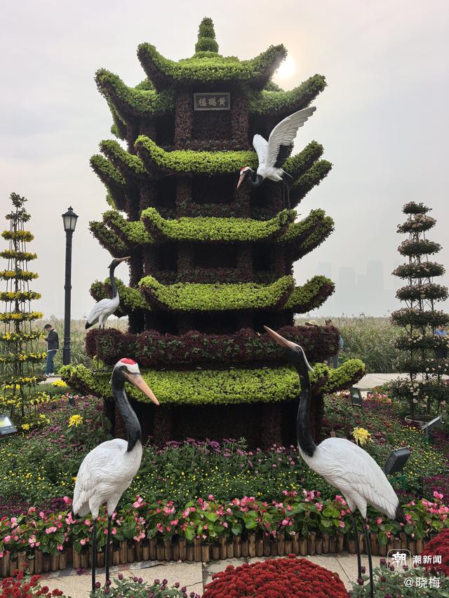 晚潮｜祖国中南行