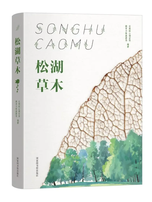 逃离“内卷”，拥抱“万卷”！南国书香节松山湖钟书阁会场8.15启幕