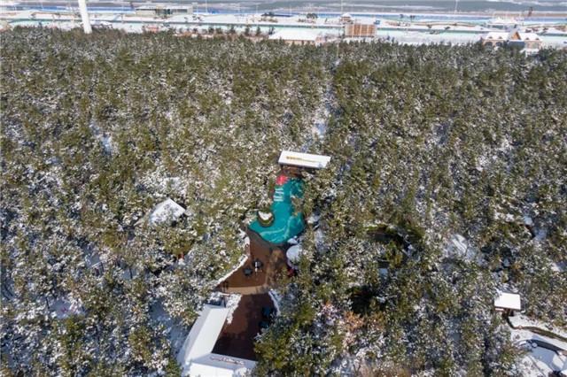 落雪的那香海，是冬日路过人间的情书