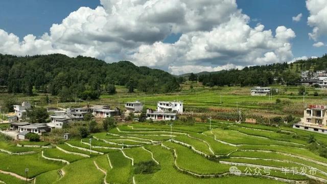 毕节不止有“悬崖村”,这些田园风光更美!
