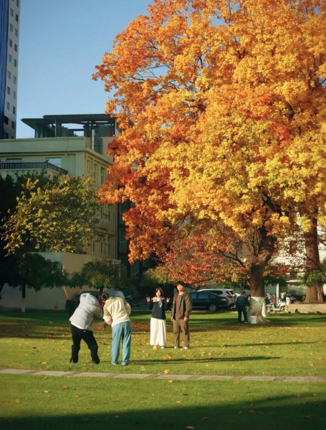 “隐藏款”北京秋景,就在中国气象局大院!
