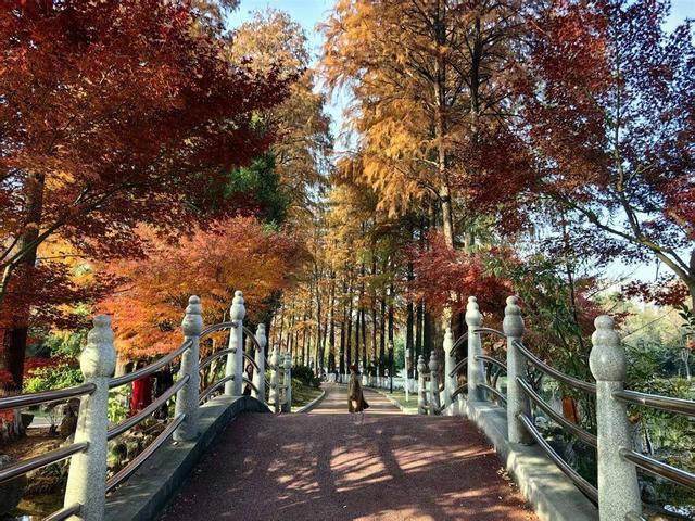 京广高铁畔的青山公园，宛若一幅浓墨重彩油画