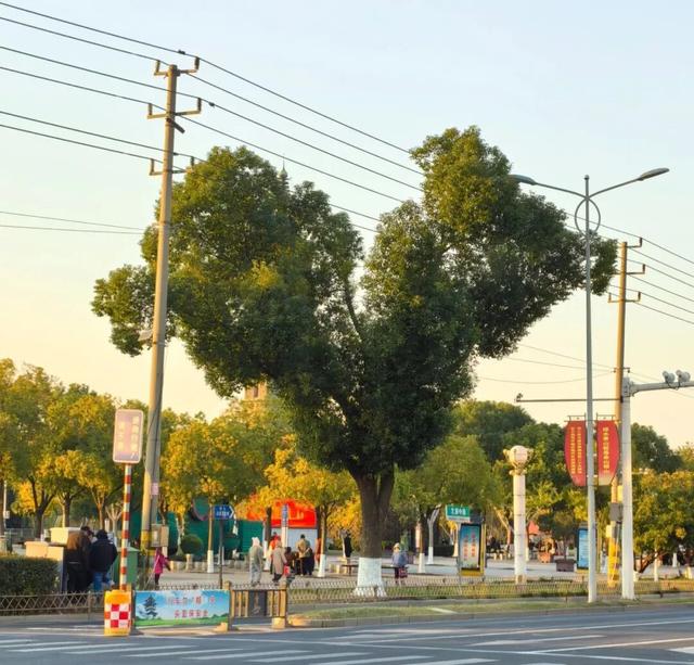 @高邮人 邀请您找寻心中的……