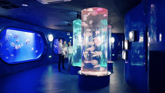 青岛家长都在找的“暖和遛娃宝地”：¥49.9在海底吃喝玩乐，孩子嗨玩妈不累