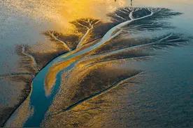 启东有两种方言图片