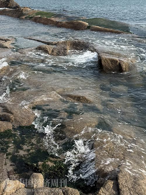 青岛：海的乡愁，酒的酣畅