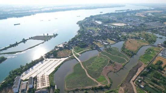 Yeah！生活｜新沂？心仪！