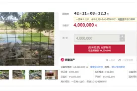 100吨鳄鱼被拍卖！起拍价400万，需“上门自提”  尚无人报名图片