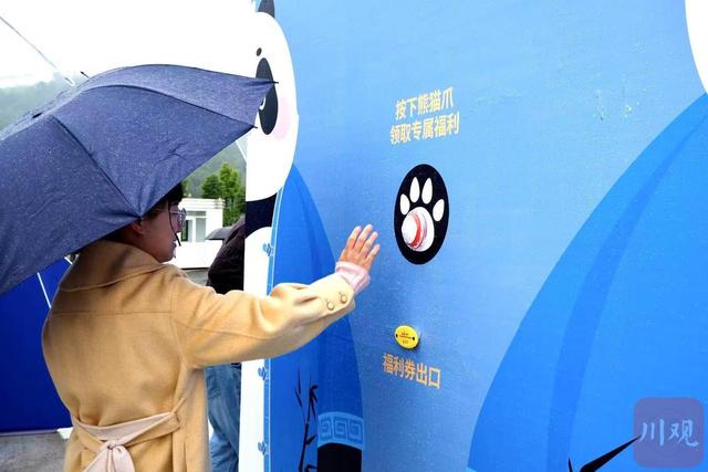 四川面向全球发布！大熊猫粉丝快来游玩