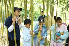 紫竹院公园｜“竹与生活——春日寻笋”科普活动图片