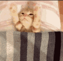 真正被爱着的人，都会有这种感觉——