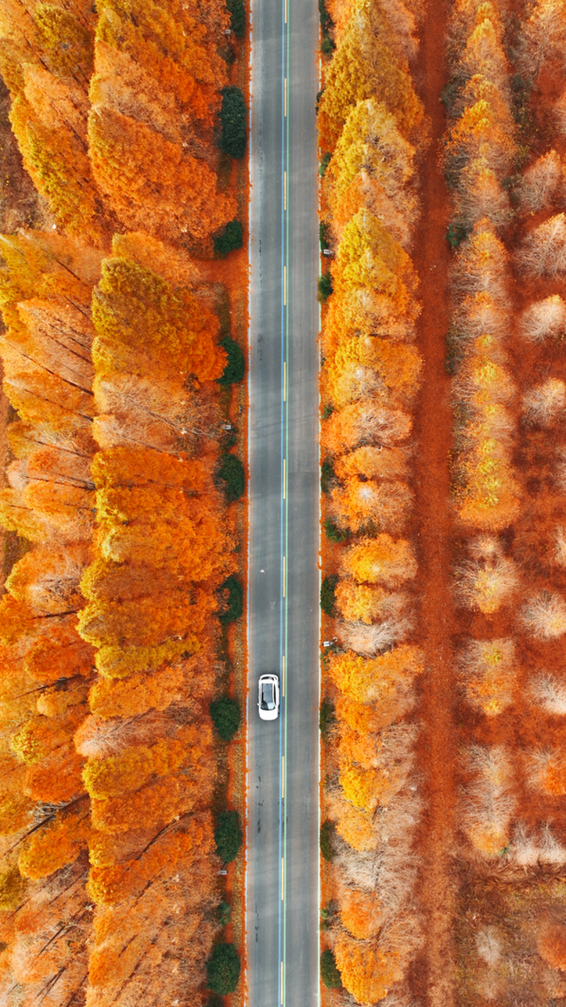 组图|黄海1号，331公里的秋日画廊