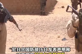 对峙之际！尼日尔武装部队遭伏击 17名士兵死亡图片