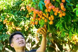 福州这里红了！不少人正赶去图片