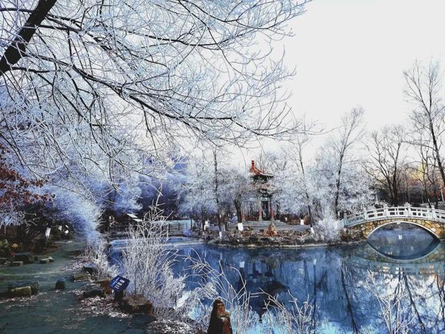 本溪水洞冬序：雾凇渡鸭，琴湖藏冬