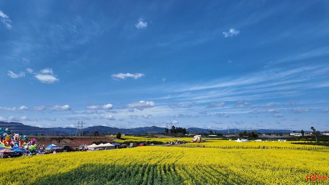 乘坐热气球、体验汉服咖啡，成都金堂赏花“耍法”上新