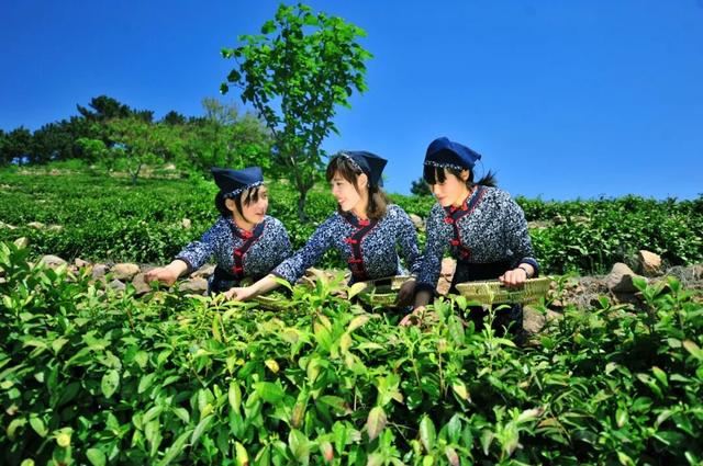 从人间烟火到地下星河：在沂水，赶一场文化大集，赴一次溶洞奇旅