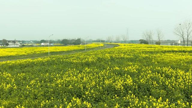 免费！火热！很多无锡人正在赶去