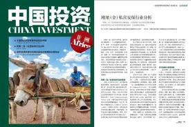 【认识非洲】刚果（金）私营安保行业分析｜中国投资图片