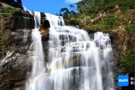 冬游海南 | 来热带雨林过大年！海南热带雨林国家公园推出5条生态旅游特色线路图片