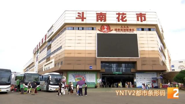 爆爆爆！昆明太火爆了，景点全是人，这里7月就涌入了162.96万人……