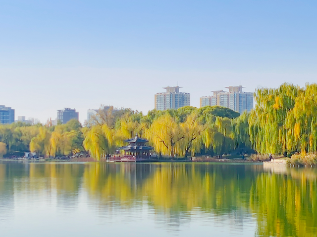 湖畔柳色依旧，陶然亭公园风景正好