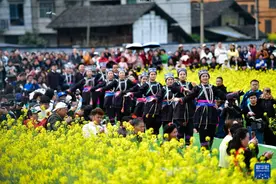 贵州榕江：花田间 秀盛装图片