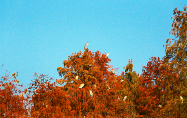 玩转湖北冬日！带你热“雪”沸腾！