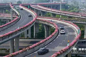 繁花似景！杭州高架变身“空中花廊”图片