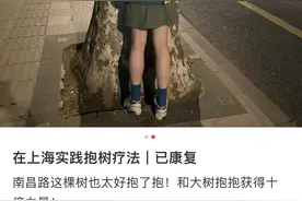 上海年轻人开始流行抱树吸春：元气满满足以支撑今日上班！图片